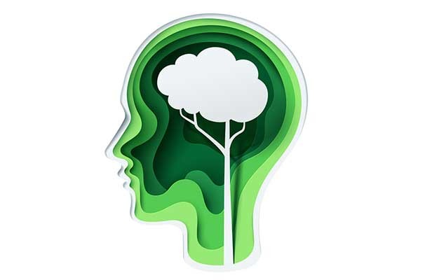 A sustainable Mindset